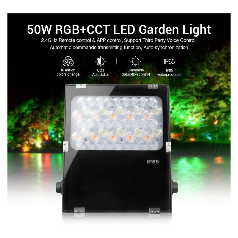 Caseareo Flood Light