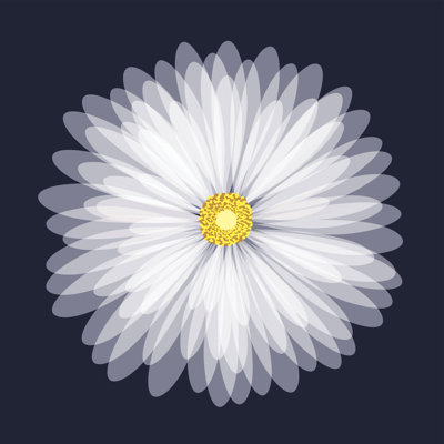 «Daisy Flower» par Stockhype - impression sur toile tendue