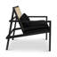 Modern Brazilian Lounge Chair-1046896064
