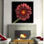 Gerber Daisy 1 Piece Wrapped Canvas Wall Art-111238468