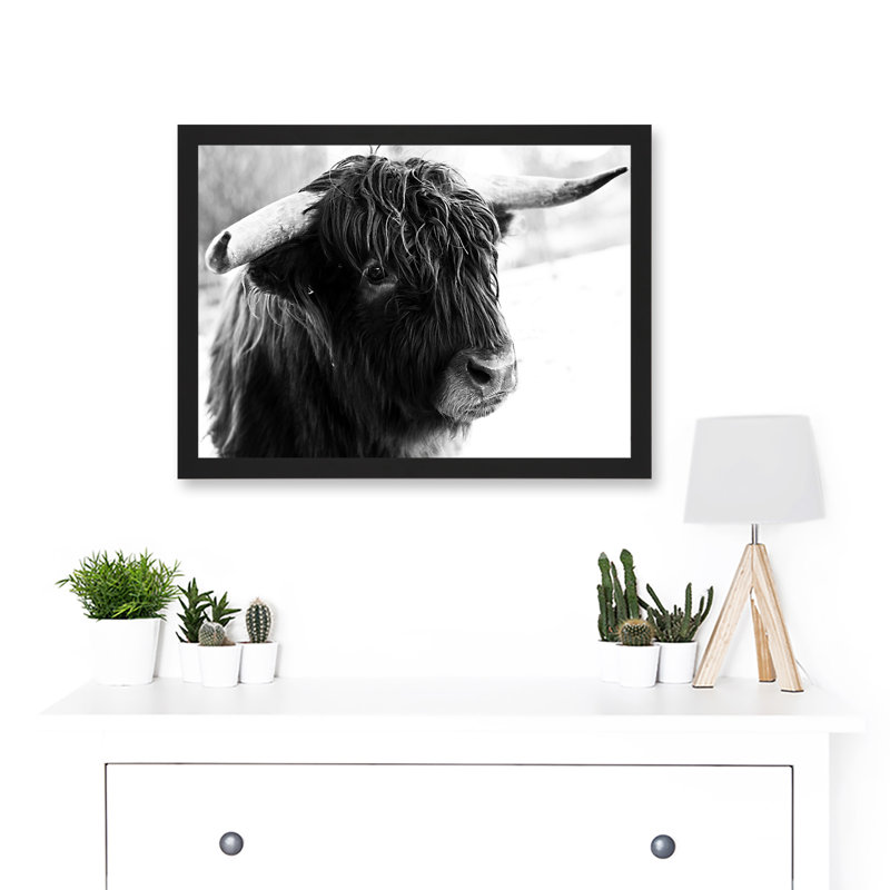 Highland Cow Bull Horns Black White Photo - Single Picture Frame Art Prints