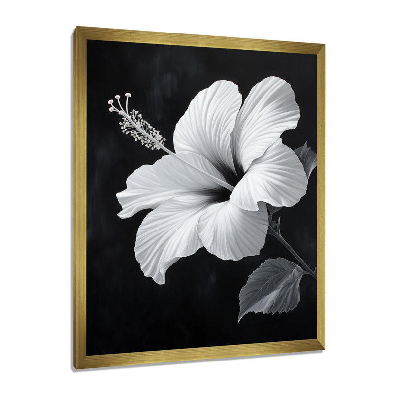 Tibbie II - Tableau botanique encadré noir, H 44 po x l 34 po, Encadrement doré