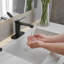 Robinet de salle de bain monocorps et monocommande