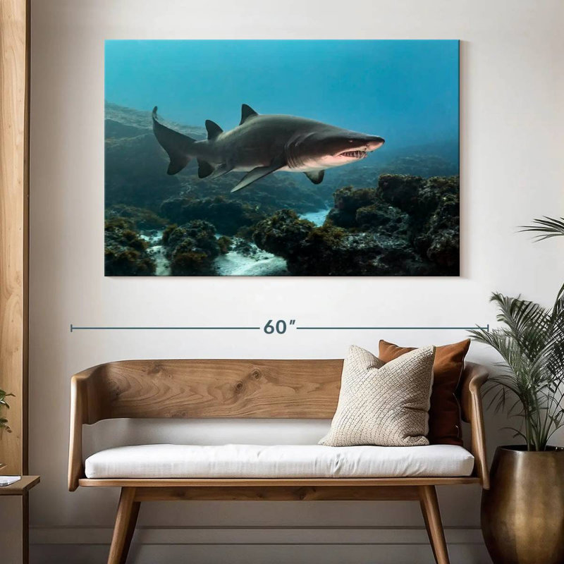 Aliwal Shoal Shark, 34" H x 51" W