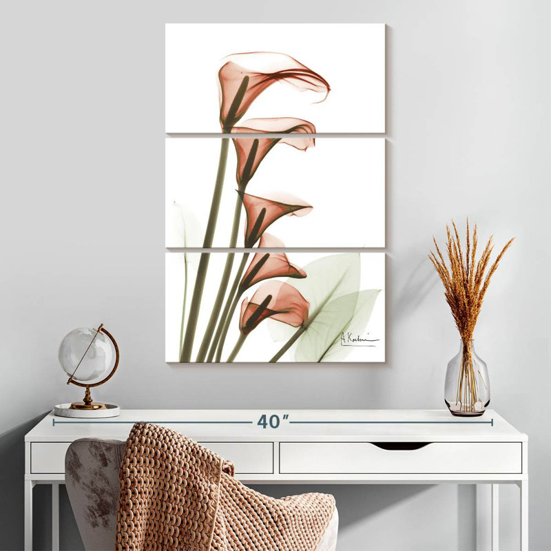 Lys Calla ascendants