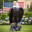 Grande statue de jardin aigle à tête blanche, sculpture d'aigle américain peinte à la main, décoration de cour intérieure et extérieure, ornement à thème patriotique