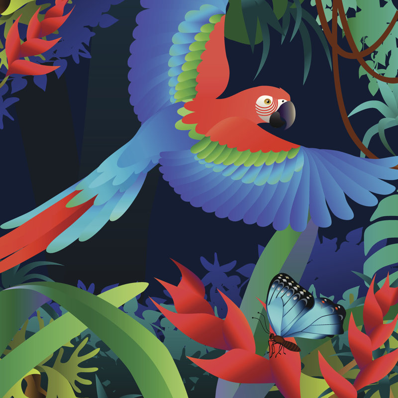 Flying Parrot And Heliconia by Kathykonkle - Wrapped Canvas Print, 30cm H x 30cm W