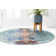 Dimonetta Washable Oriental Indoor Rug