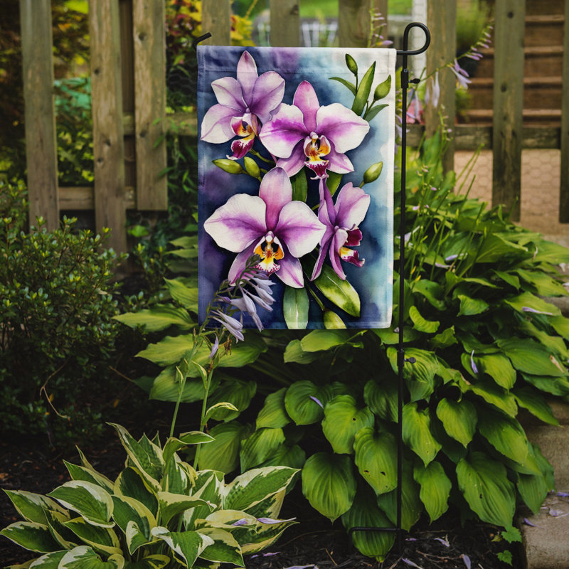 Orchidées paphiopedilum, drapeau du jardin, Orchidées Dendrobium