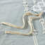 26ee854b1 Comforter