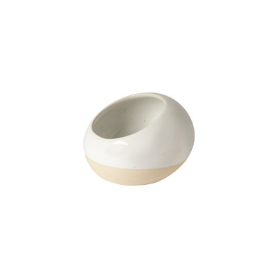 Salt Pig/Cellar