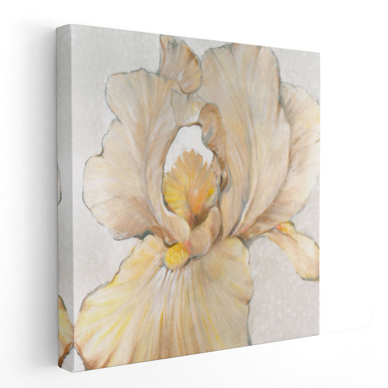 Iris crème I - reproduction d'art sur toile, H 12 po x l 12 po