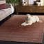 Laine tissée à la main 70% Ridgewood 301; Tapis abstrait 30% coton recyclé-1429749437
