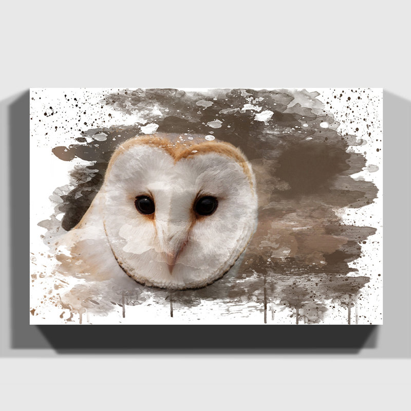 Barn Owl - Wall Art, 35cm H x 50cm W, Wrapped Canvas