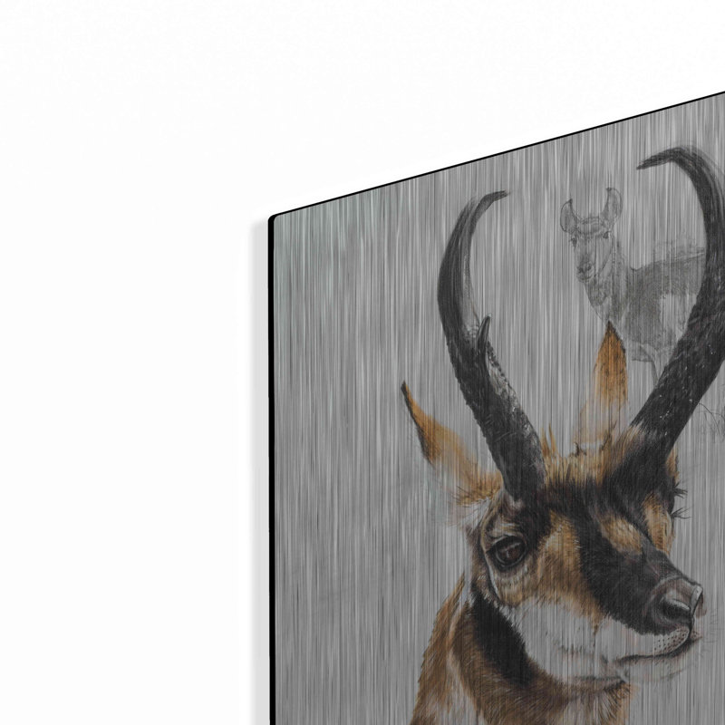 "Pronghorn" par Barbara Keith, H 24 po x l 16 po