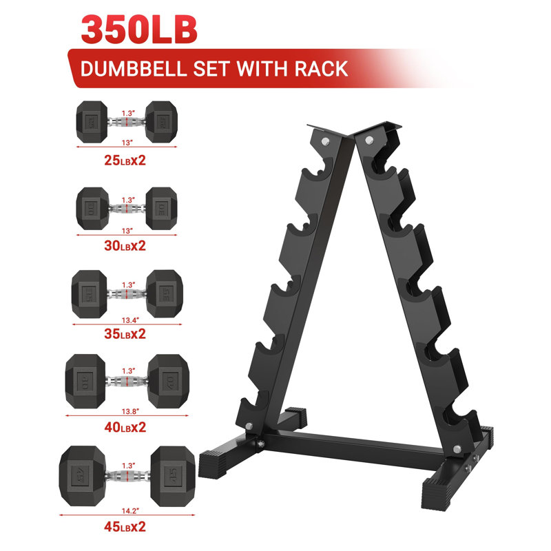 5-Pair Dumbbell Rack Stand, Heavy Duty Steel with Rubber Guards and Non-Slip Base, Holds Up to 480 LB, Space-Saving Vertical A-Frame