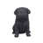 Black is out of stock