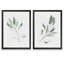 Simple sauge - ensemble de 2 reproductions d'art encadrées-1578471021-1541205128-1578471020
