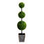 Plante de 45 po