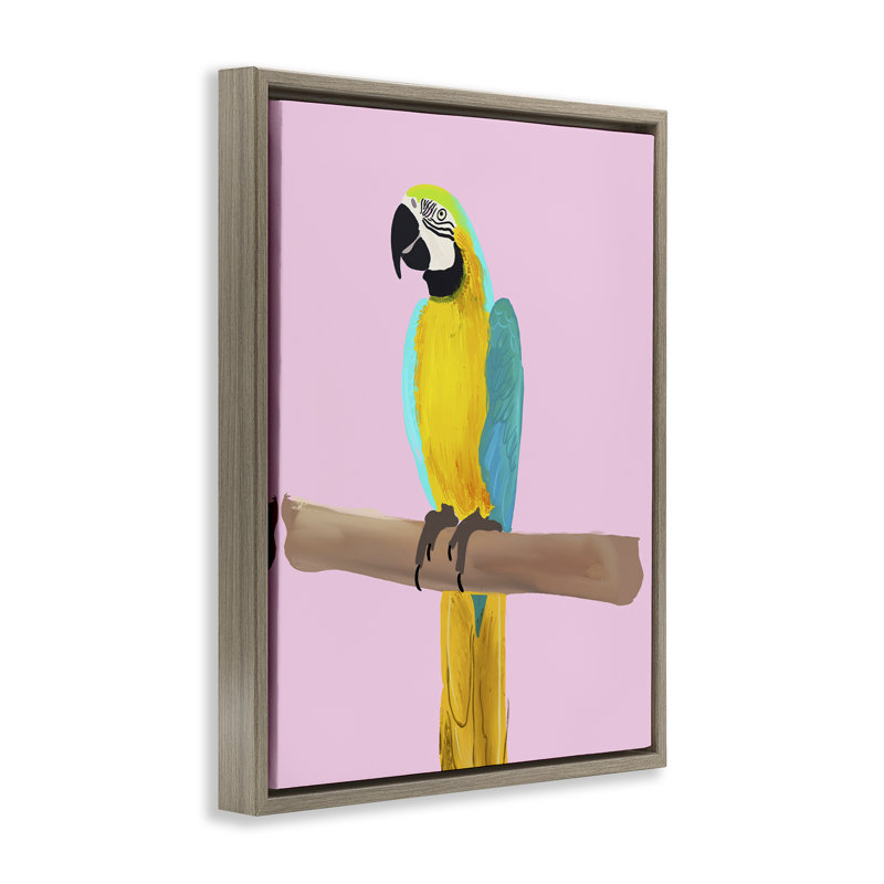 "Bright perroquet sur fond noir encadré" par Ashley Singleton, Cadre flottant orme Montalcino, H 21 po x l 17 po