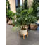 60cm Faux Palm Plant in Pot Liner