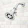 Retro 8 Jet 1.75 GPM Multi Function Adjustable Shower Head