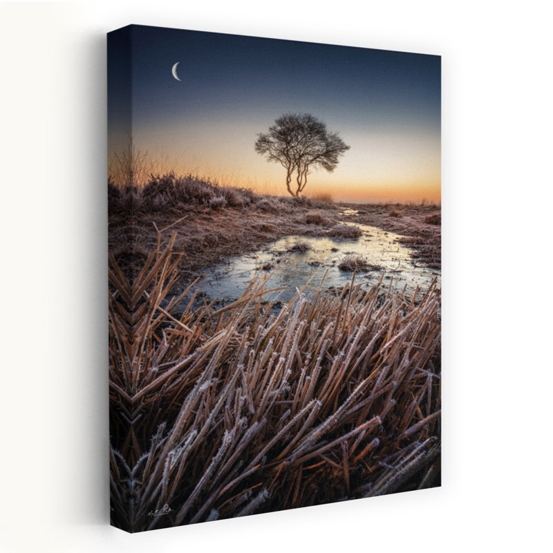 The Frost, paysage abstrait contemporain, art naturel, H 24 po x l 16 po