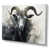 Wrapped Canvas