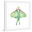 Rachel Byler - Single Picture Frame Painting-49285414
