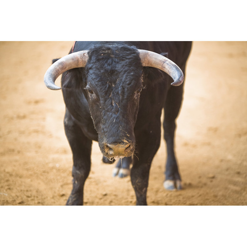 Brave Bull In A Bullfight, Spain - Wrapped Canvas Print, 30cm H x 46cm W x 3.8cm D