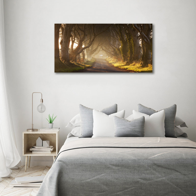 Fog In The Forest - No Frame Print on Canvas