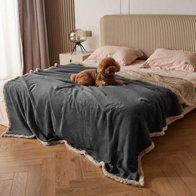 Pet Blanket