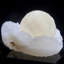 Objet de membrane
