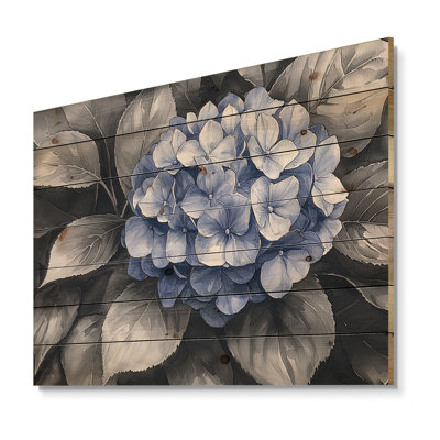 Blue Hydrangea In Monochrome Garden I - Hydrangea Wood Print - On Natural Pine Wood