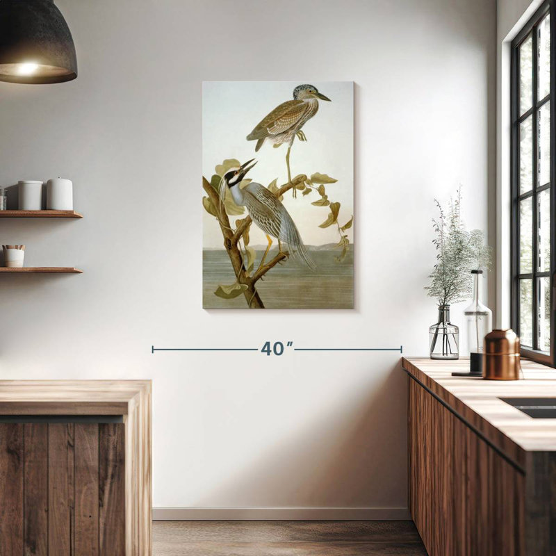 Brampt Yellow-Crowned Heron, 36" H x 24" W