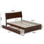 Harlowe Wood Platform Bed with Trundle-2058496874-2058496865