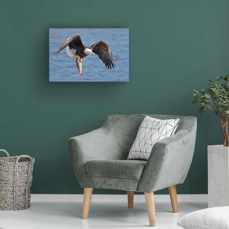 Art sur toile «Bald Jun Zuo», H 16 po x l 24 po