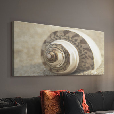 Calming Shell II - Toile tendue avec châssis - Prêt à accrocher