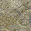 Tapis taupe intérieur / extérieur lavable à la machine Chayil ACN1082-109483904