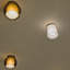 Glo-1125369180-1125369157-1125369156