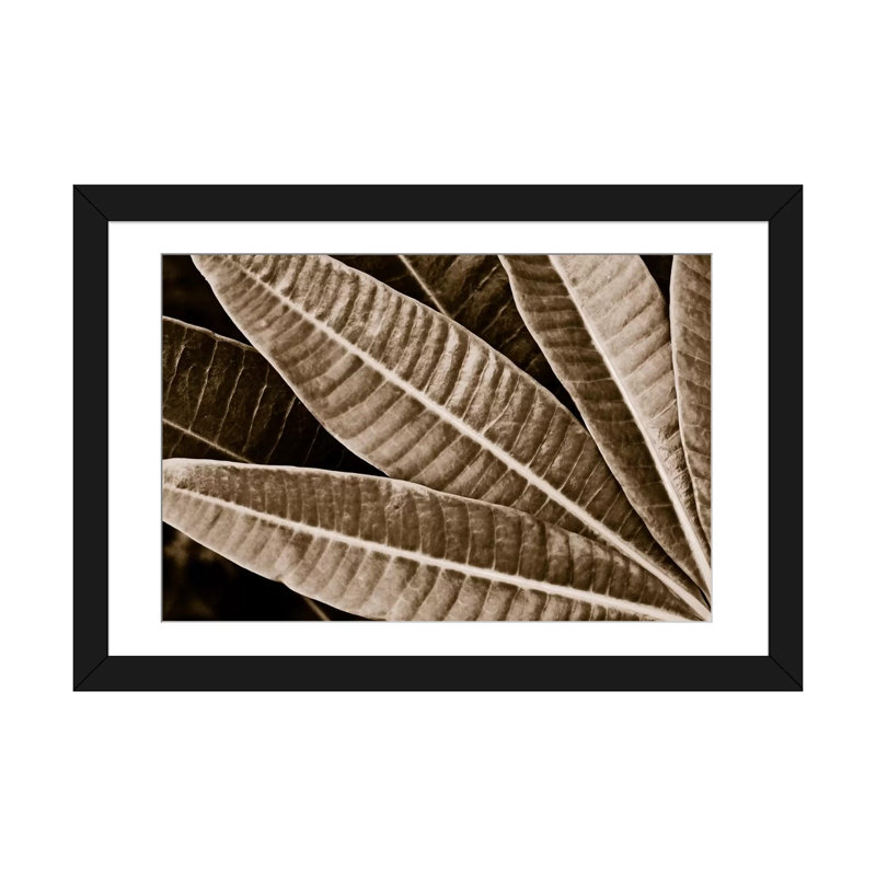 Albree Modern, sépia, feuilles, impression sur toile, H 24 po x l 32 po x P 1 po, Papier avec cadre noir, Blanc
