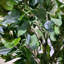 Faux Tree in Metal Planter-101685158-101685161