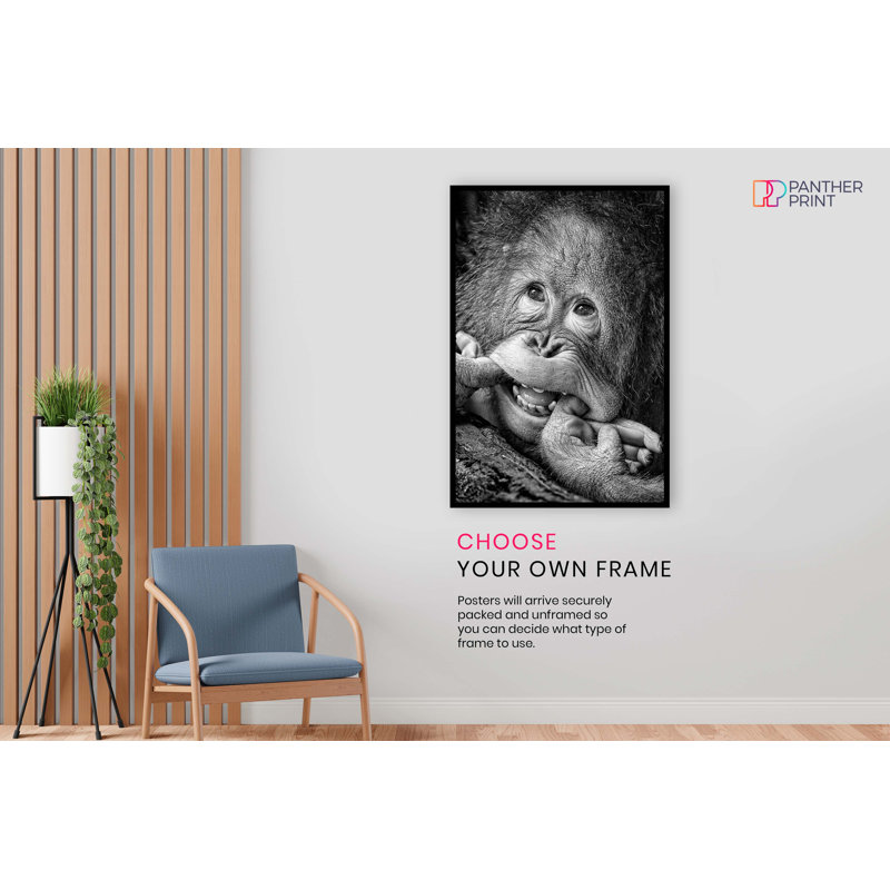 Smiling Monkey Close up 1 Piece Wrapped Canvas Wall Art, 61cm H x 41cm W