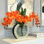 Orchid Floral Arrangement in Vase-97821097