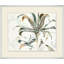 Succulent 2 Painting