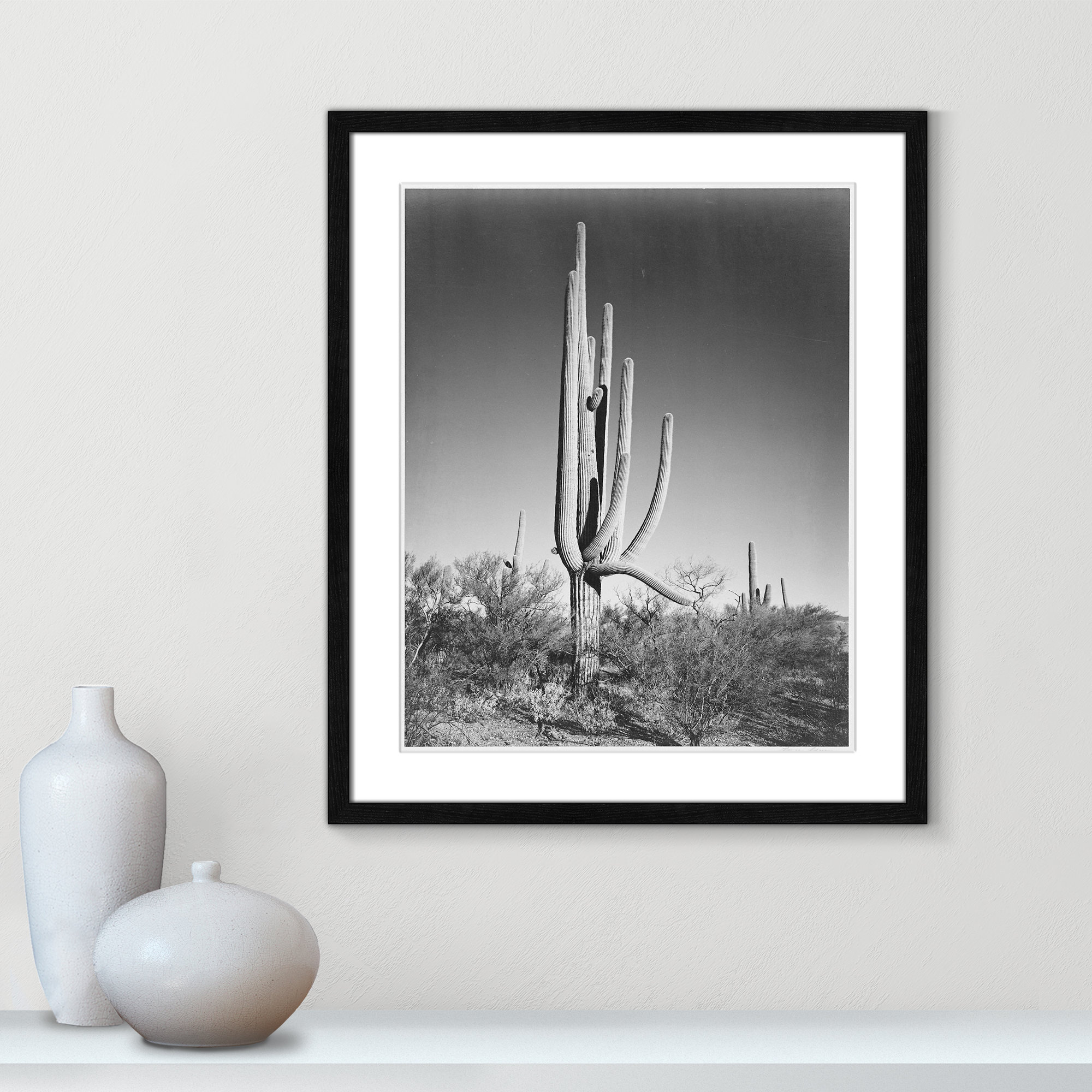 Cactus In Saguaro National Monument In Arizona by Ansel Adams, 25.5" H x 21.5" W x 0.75" D, Black