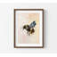 Flying Bumblebee, reproduction d'aquarelle (encadrée ou non, décoration murale)-1764032915-1764032917-1764043948