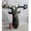 Figurines et sculptures Kaelib