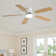 Lieschen 52'' Ceiling Fan with LED Lights