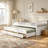 Daybed with  Trundle and Drawers-77361473-77361472